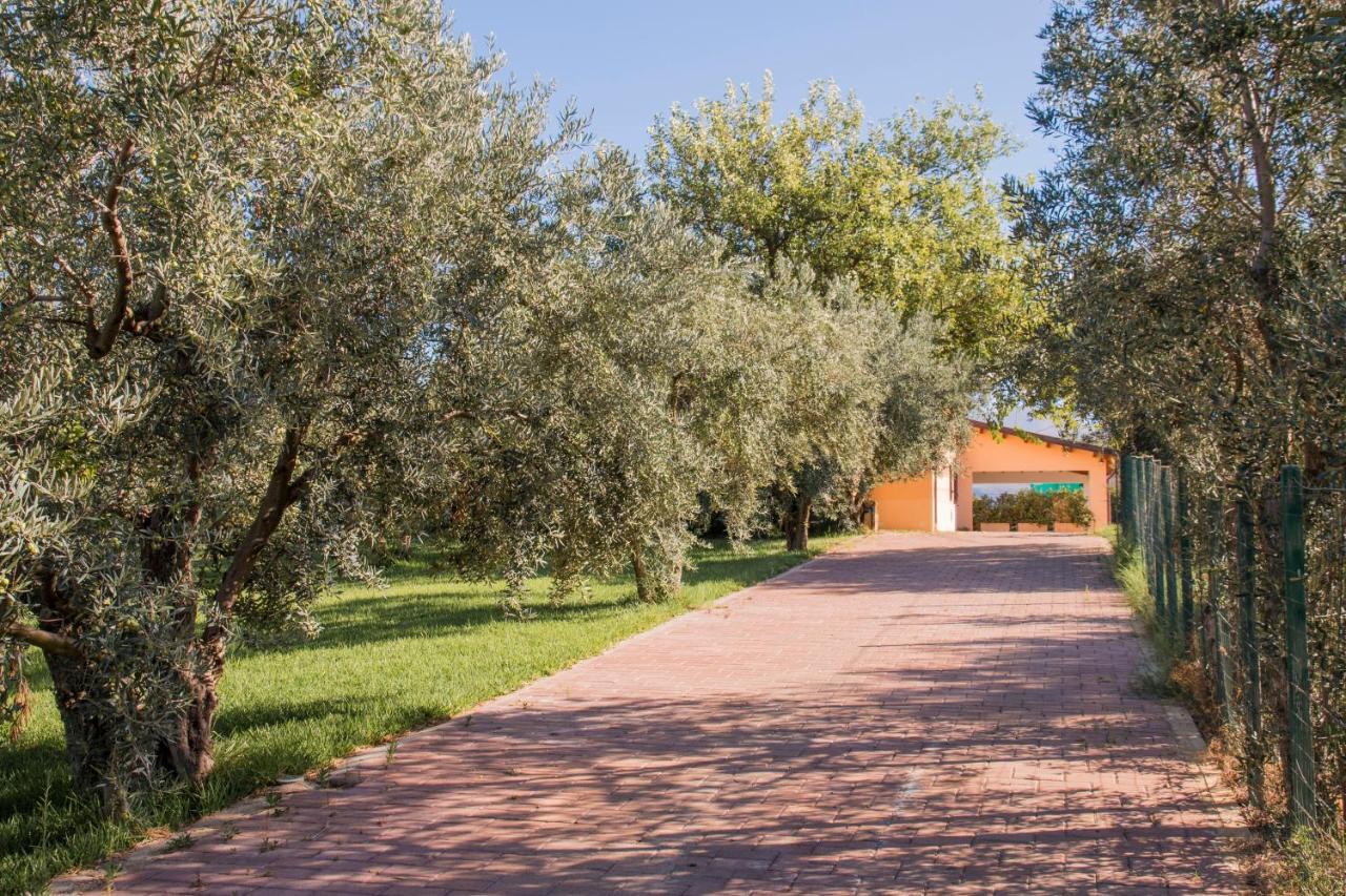 Villa Con Piscina Casale Di Gio Nel Golfo Di Castellammare Partinico Exterior foto